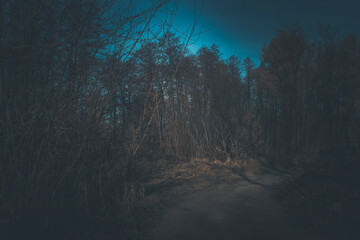 Las © artur