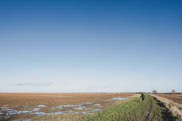 Obraz premium Distant walker and her dog seen walking along the perimeter of a large arable field during mid winter. A crisp day with mainly blue sky.