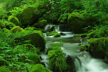 大山