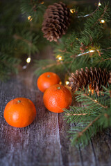 Fototapeta na wymiar Still-life. Tangerines on the background of fir branches.