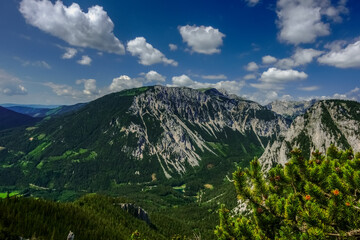 beautiful view to a mountain range and a green lake in the forest