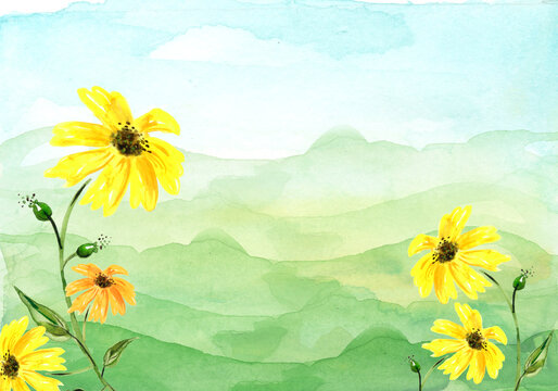 Watercolor floral illustration. Yellow flower on a background of a mountain, a hill. wild grass, flowers, plants. Rural landscape with grass. Sunflower flower. Country summer landscape. Sunflower seed
