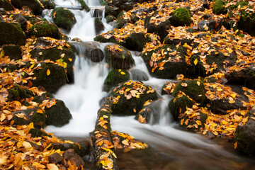 A photo of a waterfall. It flows down through stones nearby that have red and yellow leaves.