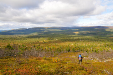Fototapeta na wymiar Näsfjället Nationalpark in Schweden im Herbst