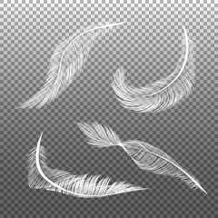 Realistic white feathers. Flying furry weightless white swan objects vector isolated on dark background