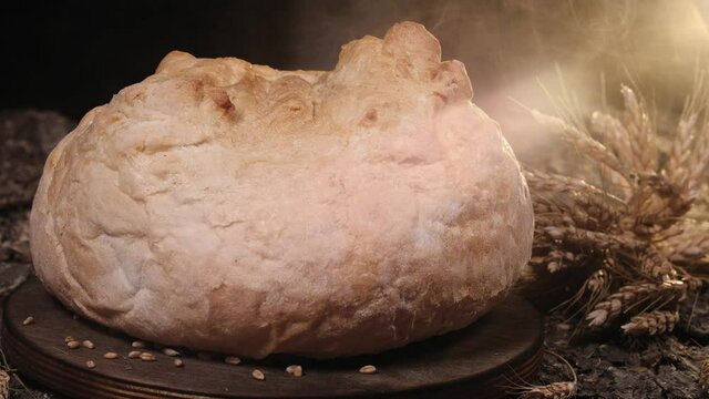 round wheat bread on a wooden plate with spikelets of cereals. steam over bread. back light.