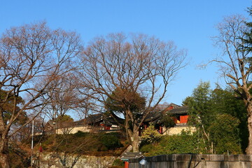 Nature Scenic Area of Jinju Castle Park in Korea