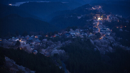 奈良県 吉野山 花矢倉展望台 桜