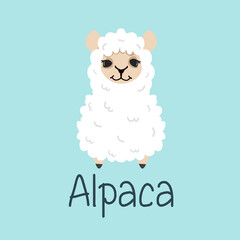 hand drawn Cute alpaca vector
