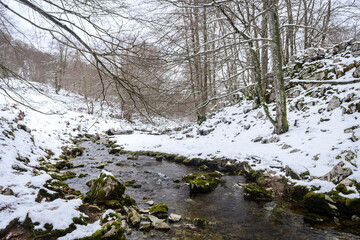 views of peaceful spring water on winter season