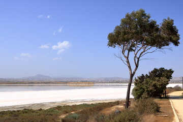 Beautiful Salt Lake in Larnaca, Cyprus. Natural background. Landscape