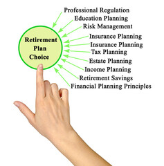 Factors influencing Retirement Plan Choice.