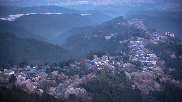 Takuya Araki Photos Images Assets Adobe Stock Takuya Araki Photos Images Assets Adobe Stock