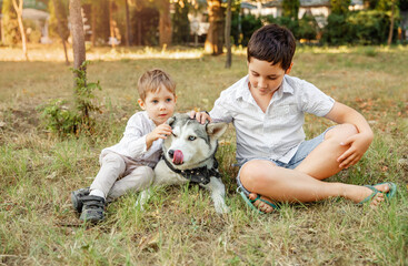 Kids and a pet on a summer meadow. Boys lovingly embraces his pet dog. Family playing with dog in park. Owner walks with a dog. Children caressing dog outdoors. Veterinary medicine, animal care