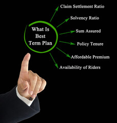 What Is Best Term Plan.