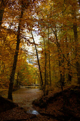Obraz premium A photo of a lake that is placed in the middle of a forest in the autumn of Bolu Yedigoller.