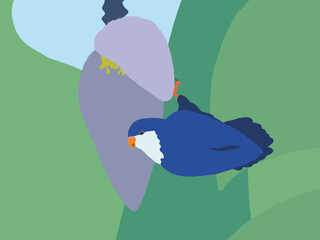 Vini peruviana - Blue Lorikeet blue bird on a branch