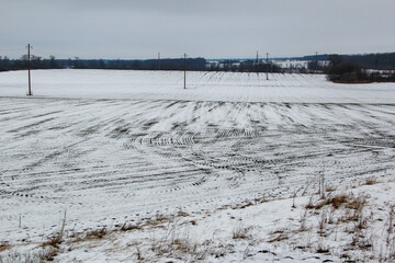 Winter agricultural field in snow and clouds in the sky