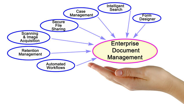 Components of Enterprise Document Management