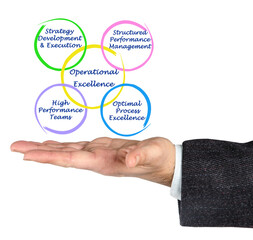 Four components of Operational Excellence