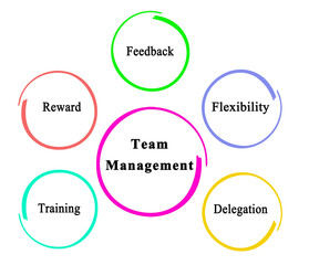 Five Principles of Team Management