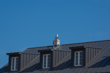 Black roof of the main building of  Sõrve lighthouse in Saaremaa island, Estonia. Seagull perched on top of the white chimney. Focus on roof