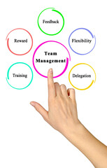 Five Principles of Team Management