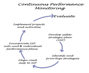 Process of  Continuous Performance Monitoring