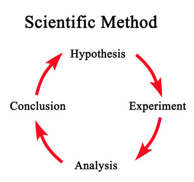 Reserach Process Accordingly to Scientific Method