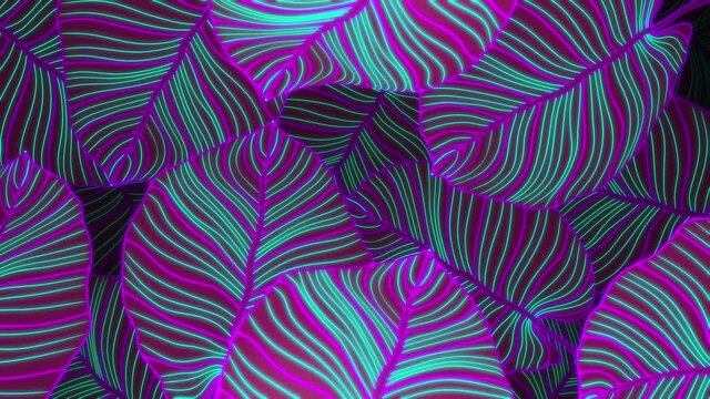 Luxury gold and nature neon colors motion background. Floral pattern, Golden split-leaf Philodendron plant with monstera plant line arts, Loopable video.