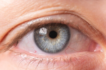 Close-up beautiful blue-gray eye of a woman. Macro. Without cosmetics no makeup.