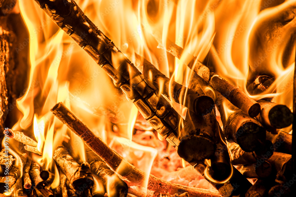 Wall mural fire in a kitchen stove, with firewood burning