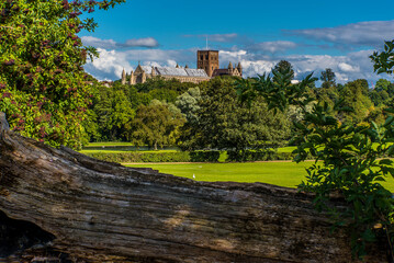 A view of the Cathedral across the park and trees of  Verulamium Park, St Albans, UK in the summertime © Nicola