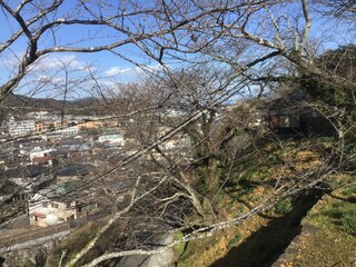 Fototapeta na wymiar Usuki Castle Ruins in Usuki City