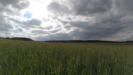 Felder, Wiese, Natur