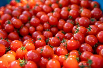 freshly picked red tomatoes in a crate
