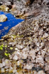 Crystals in Roraima, Canaima, Venezuela
