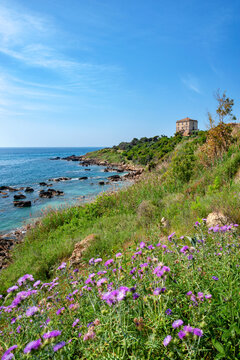 Punta Scifo, Capo Colonna, district Crotone, Torre Scifo, Marine protected natural area Capo Rizzuto, Calabria, Italy, Europe
