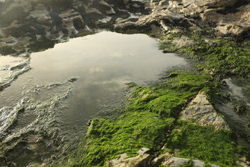 Rock pool filled with water from the storm and surrounded by seaweed