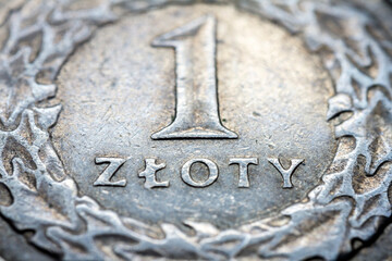 One Polich zloty coin macro detail