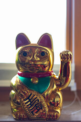 portrait of a lucky cat (Maneki Neko)