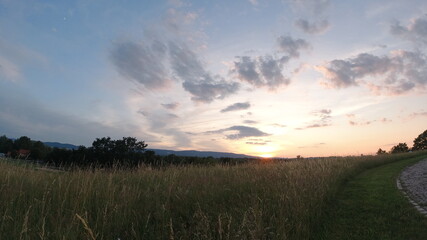 Obraz premium See und Park bei Sonnenuntergang