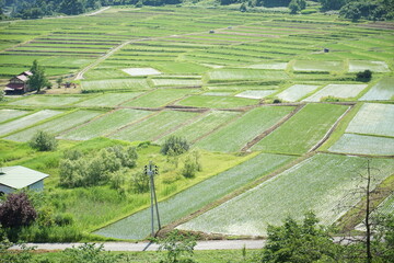 travel in Japan