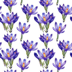 Watercolor seamless pattern of Crocus flowers.