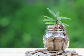 Fototapeta na wymiar Trees growing on coins money and glass bottle on green background, investment and business concept