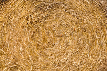 Srtohballen Rundballen