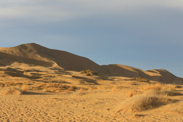 Desert Sand Dunes