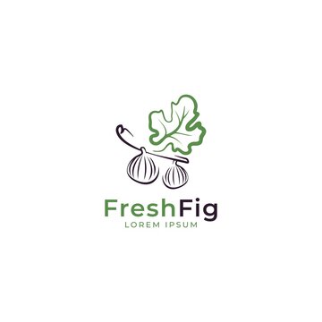 Fig with leaf logo design vector template