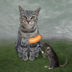 A black rat gives a sausage to a gray cat in the meadow.