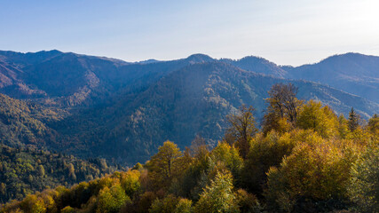 Turkey's green landscape filled with natural beauties which is in Artvin/Turkey. 